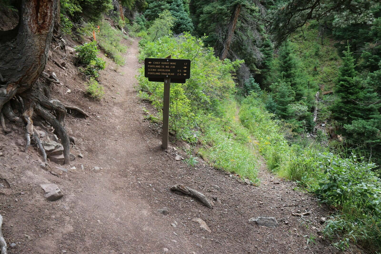 Trails to Cascade Falls