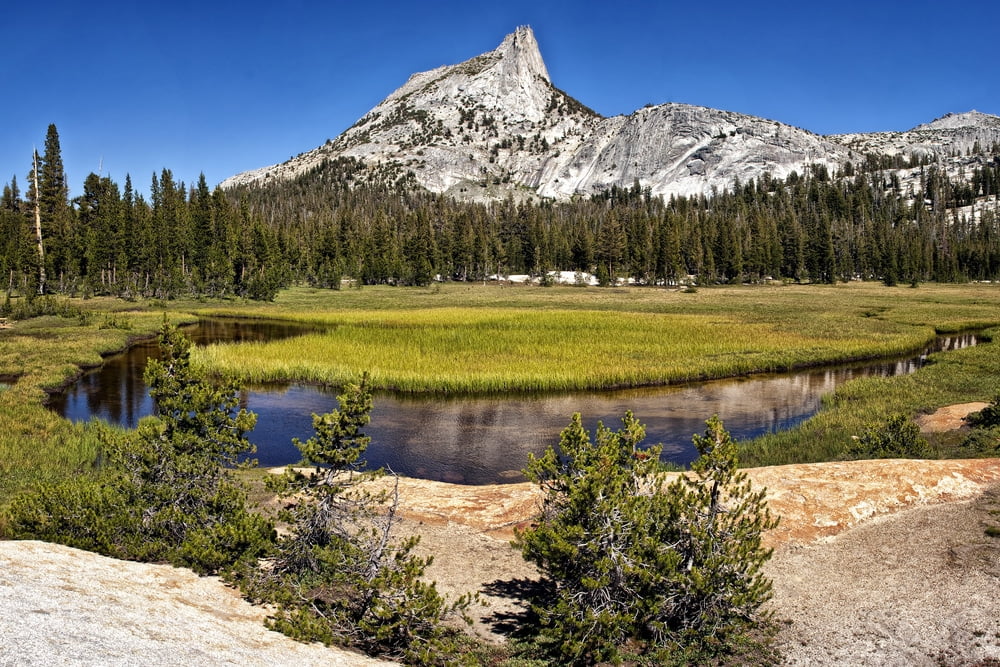 Yosemite National Park Cathedral Peak Meadow along the John Muir Trail between Tuolumne Meadows and Yosemite Valley, California John Muir Trail