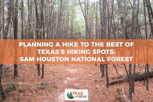 sam houston national forest