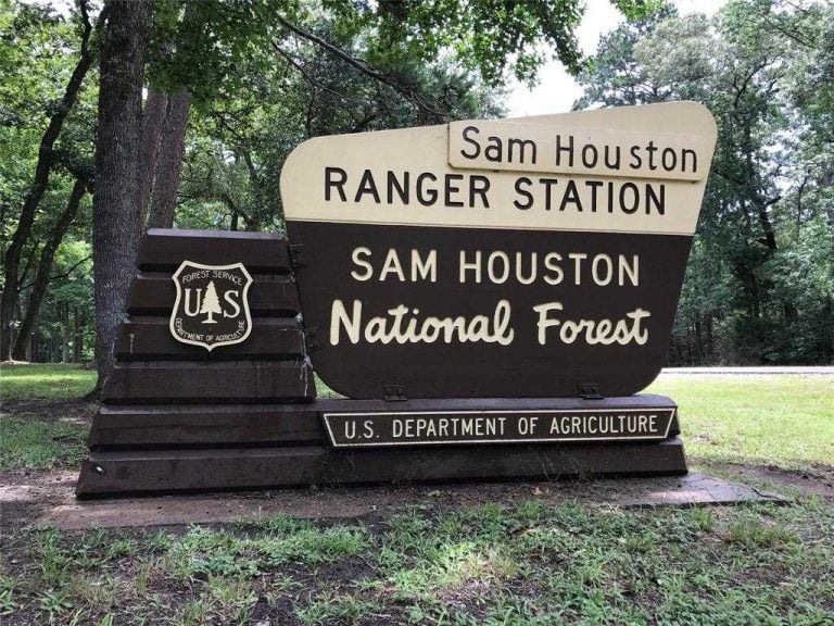 sam houston national forest - Sam Houston National Forest