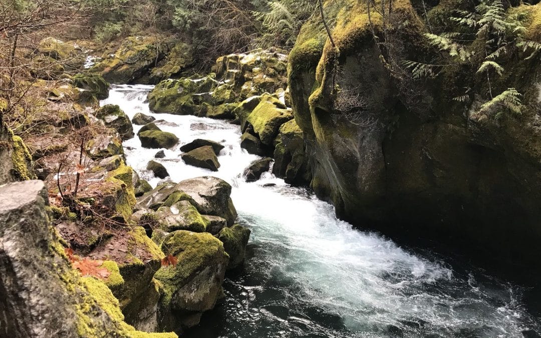 Toketee Falls: Oregon’s Most Photographed Waterfall