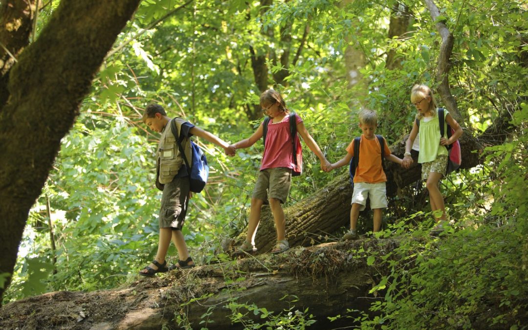 Four persons hiking while holding hands