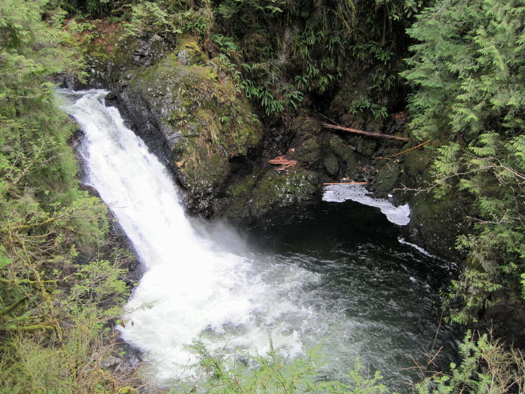 Wallace falls with trees beside it